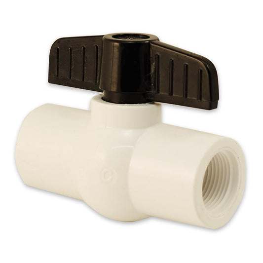 1" Threaded PVC Valve