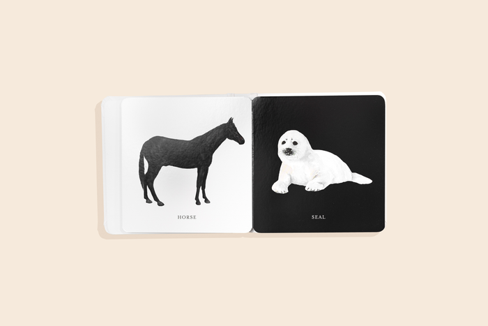 Baby's Black & White Contrast Book
