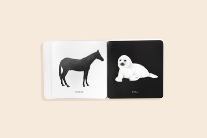 Baby's Black & White Contrast Book