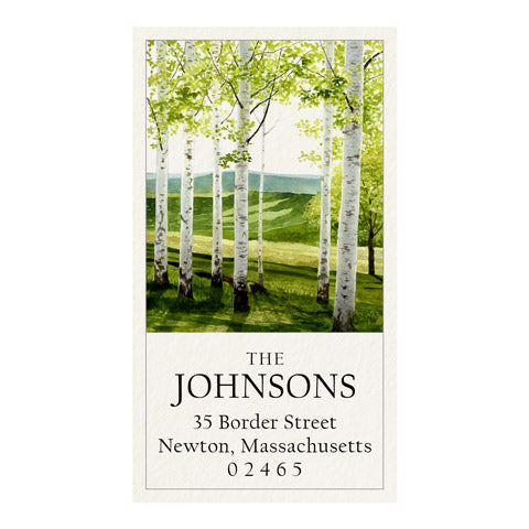 Birch Forest