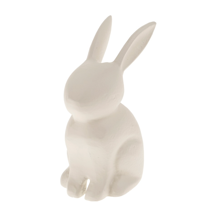 Bunny Rabbit