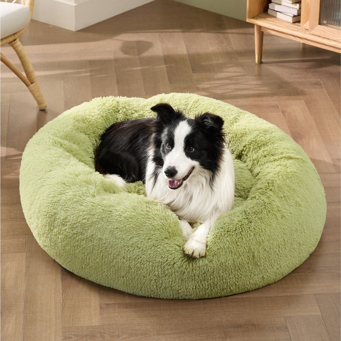 Black and white Border Collie resting in plush green donut pet bed, OEKO-TEX certified for comfort.