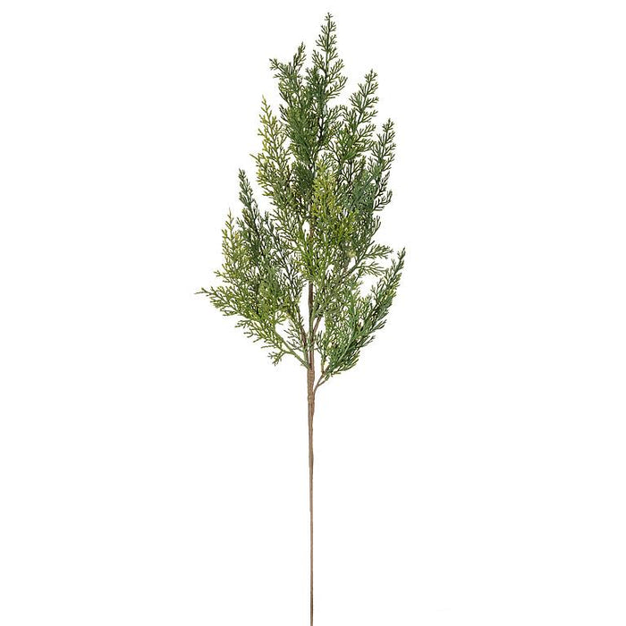 Cedar Spray