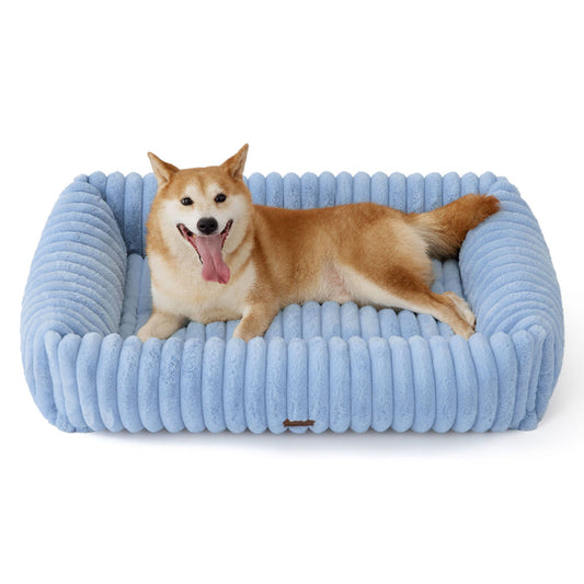 Dog lying on a blue pet bed with a white background
