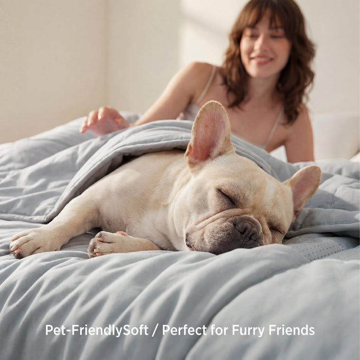 Cooloxy cooling comforter is soft and pet-friendly, shown with a sleeping French bulldog.