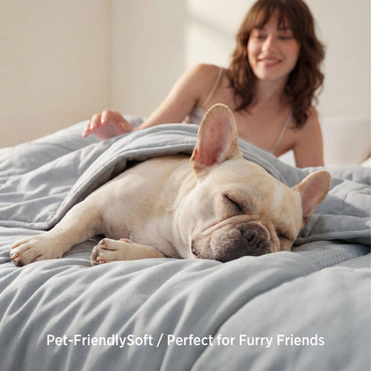 Cooloxy cooling comforter is soft and pet-friendly, shown with a sleeping French bulldog.