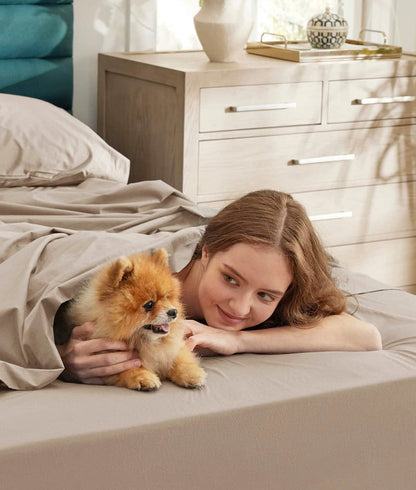 Woman smiling with her Pomeranian dog peeking from taupe GentleSoft Cotton Percale sheets in a cozy bedroom.
