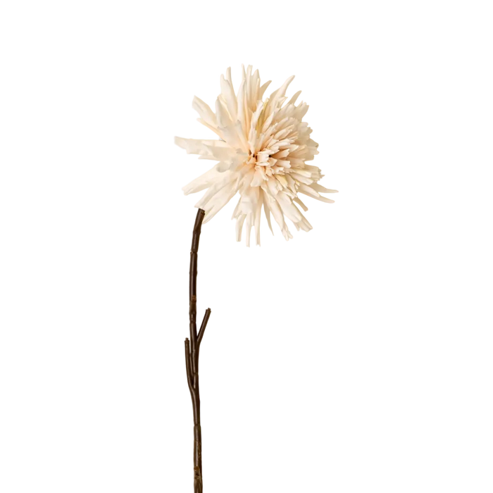 Dahlia Stem in Cream