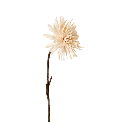 Dahlia Stem in Cream