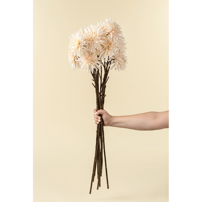 Dahlia Stem in Cream