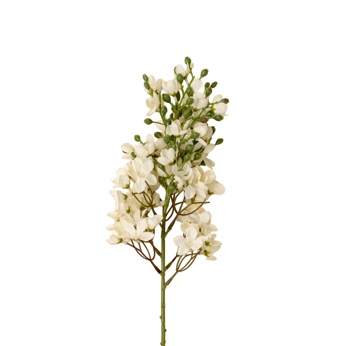 Delphinium Stem in White