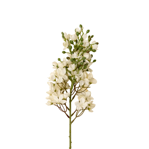 Delphinium Stem in White