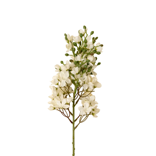 Delphinium Stem in White