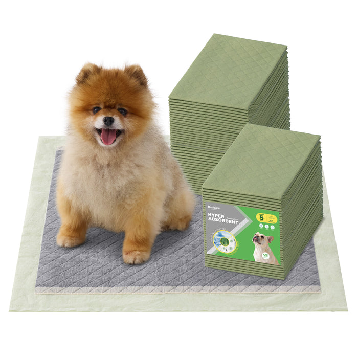 Fluffy Pomeranian dog on quilted absorbent dog pee pad. Stack of eco bamboo Bedsure training pads with odor control.