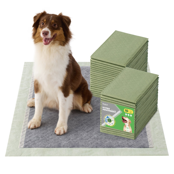 Australian Shepherd on BedSure hyper absorbent bamboo dog pee training pads.