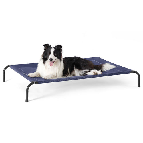Elevated Dog Bed