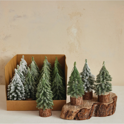 Evergreen Trees with Wood Slice Bases