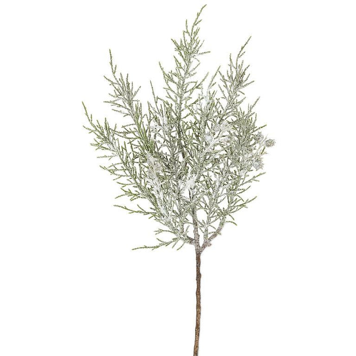 Falling Branch with Pods