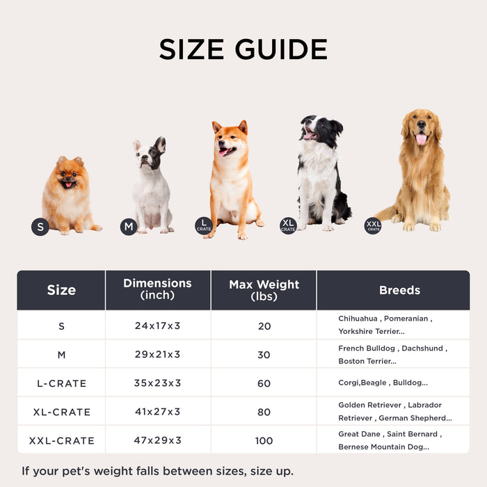 Fluffy Dog Mat