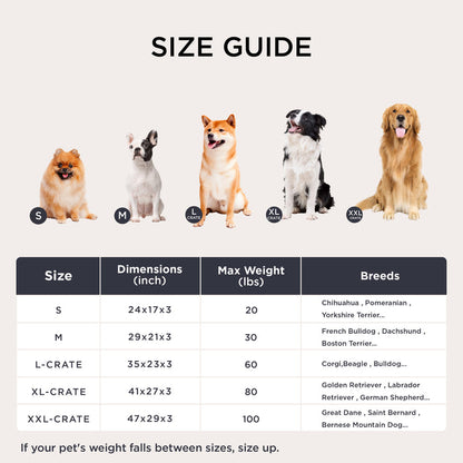 Fluffy Dog Mat