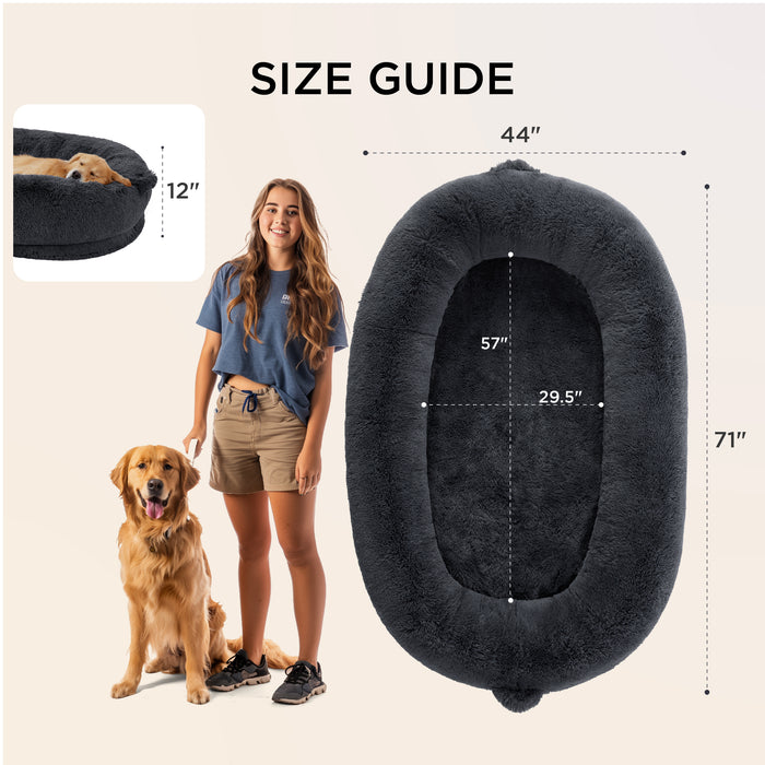 Large plush human dog bed size guide, 71"L x 44"W, 12" bolster, with scale reference.