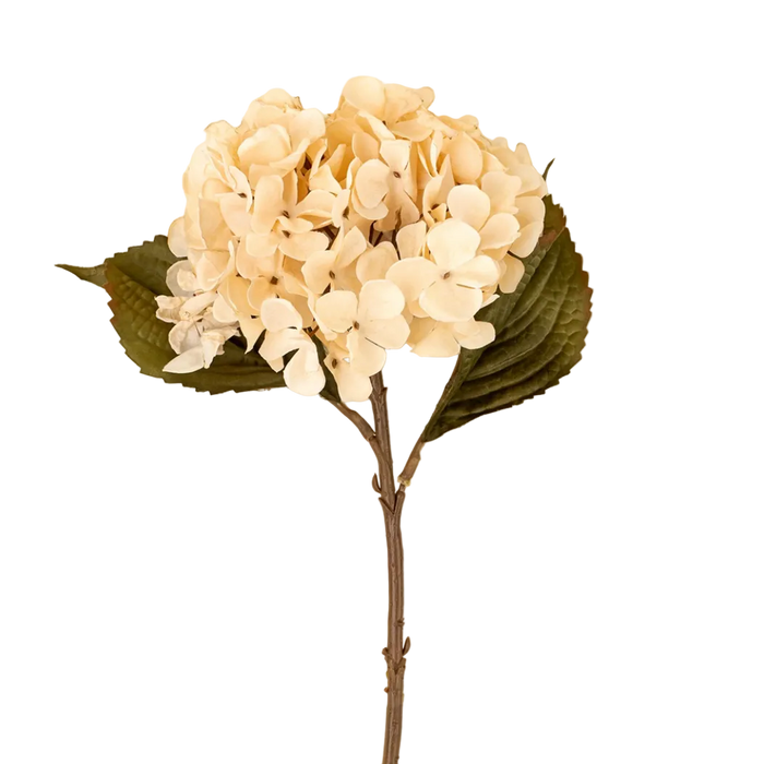 Hydrangea Floral Stem in Cream