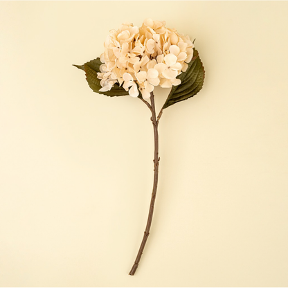 Hydrangea Floral Stem in Cream