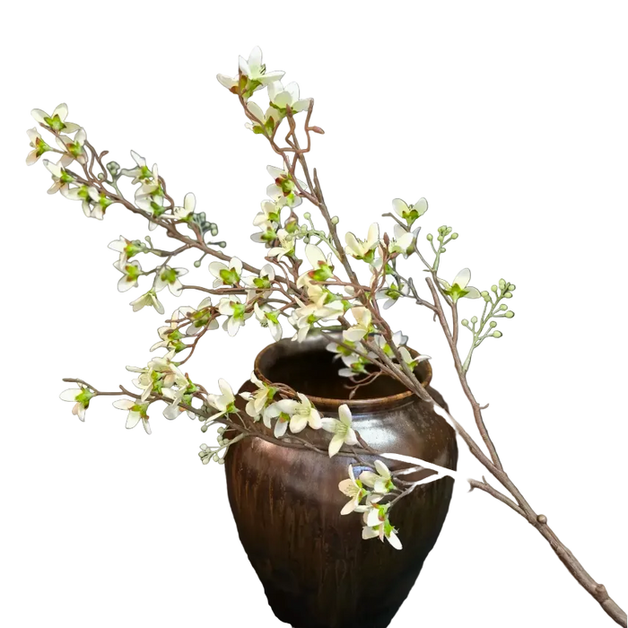 Japanese Cherry Blossom