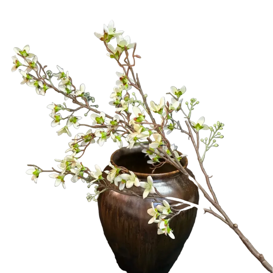 Japanese Cherry Blossom