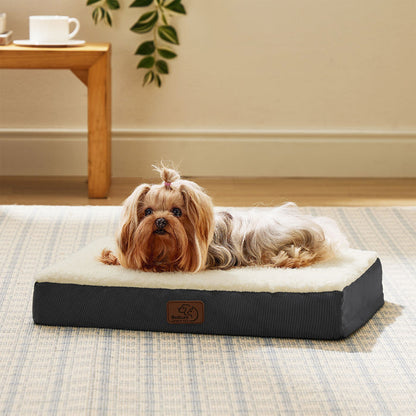 Large orthopedic dog bed: plush cream Sherpa top, dark gray base. Small dog rests comfortably.