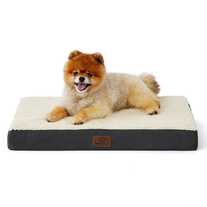 Fluffy Pomeranian resting on large orthopedic dog bed with cream Sherpa top and dark gray base.