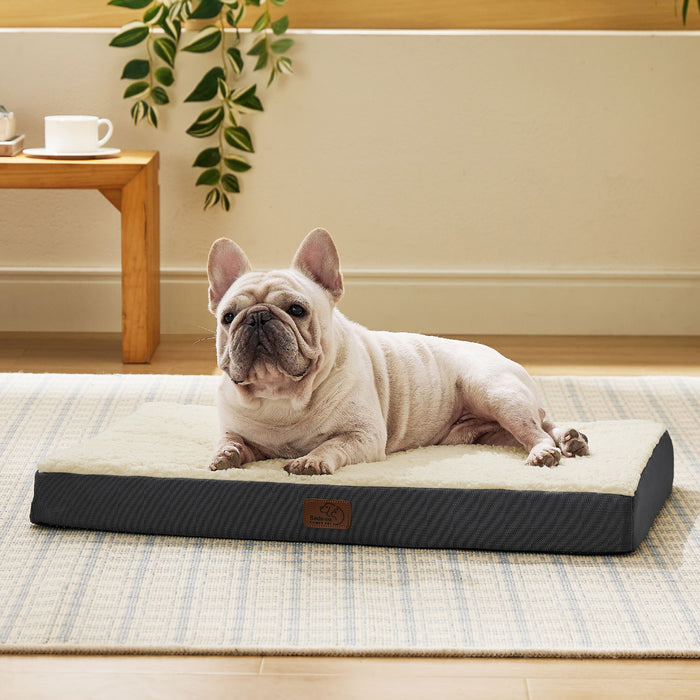 Cream French Bulldog relaxing on large orthopedic washable dog bed with Sherpa top and gray base.