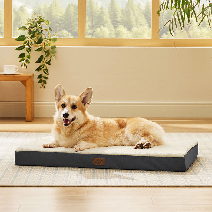 Tan Corgi relaxing on a large orthopedic dog bed with cream Sherpa top and dark gray sides.