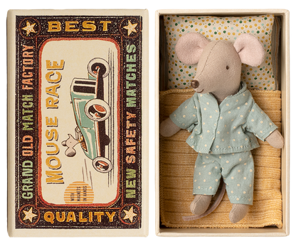 Little brother mouse in matchbox