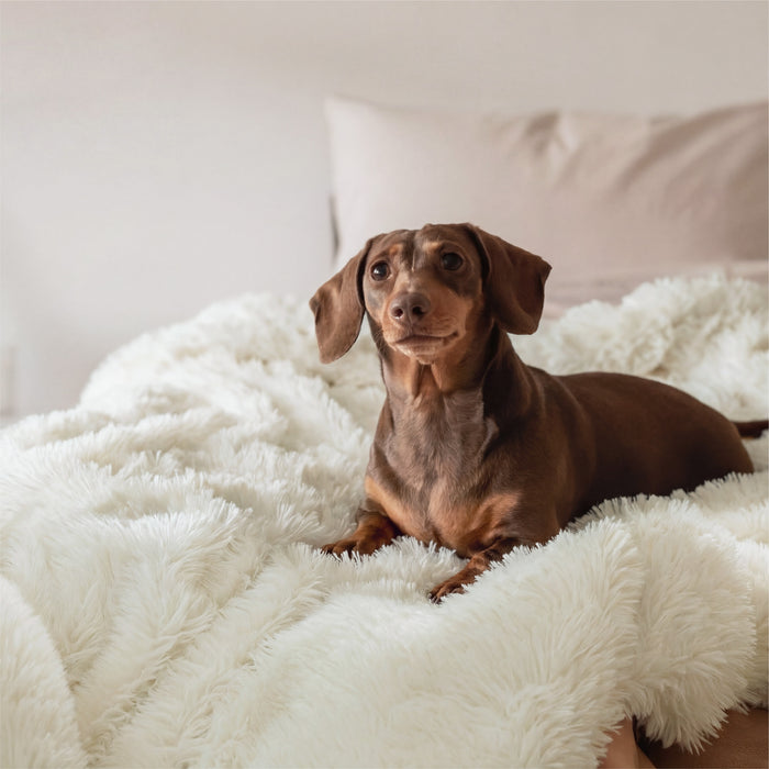 Luxe Faux Fur Blanket
