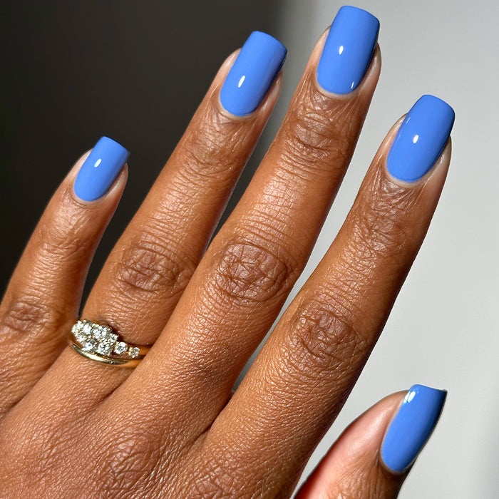 Midnight Marina