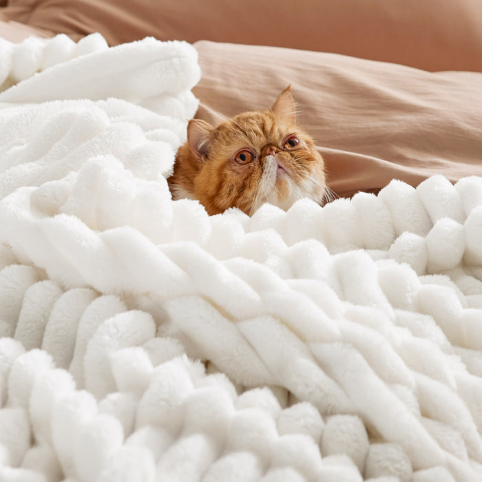 Cozy white plush blanket with ginger cat, Organic Cotton Modern Cozy Bundle.