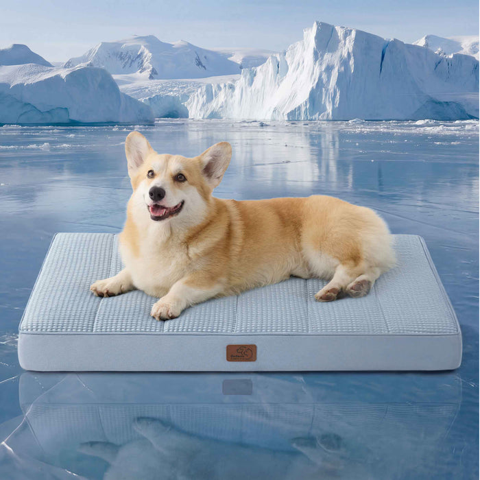 Orthopedic Cooling Dog Bed