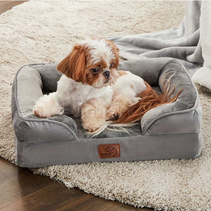 Small Shih Tzu-mix dog relaxing on gray orthopedic dog sofa with bolsters and low entrance on rug.