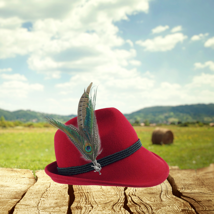 Peacock & Pheasant Fedora Feather Pin with Pheasant Medallion - ScandinavianGiftOutlet