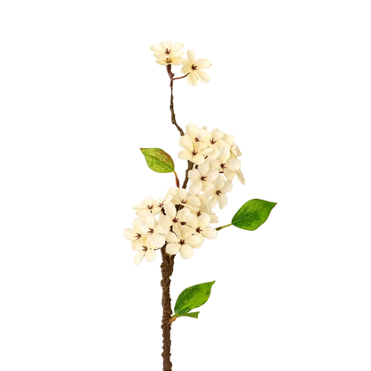 Pear Blossom Branch