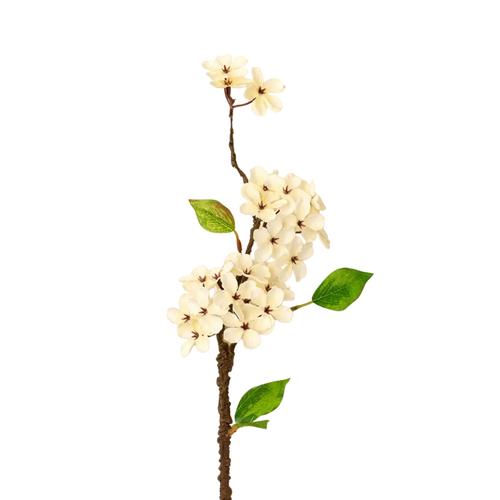 Pear Blossom Branch