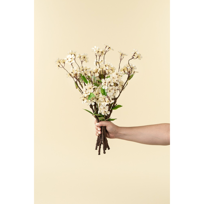Pear Blossom Branch