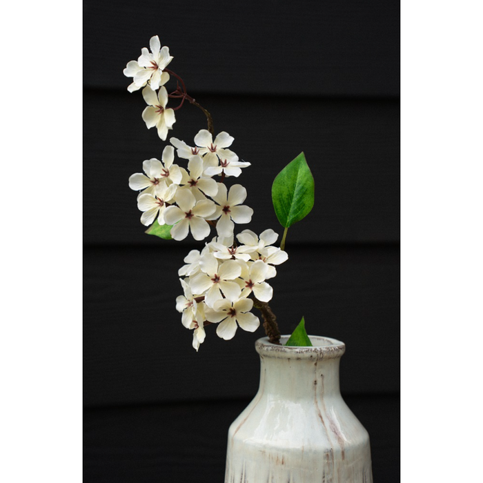 Pear Blossom Branch