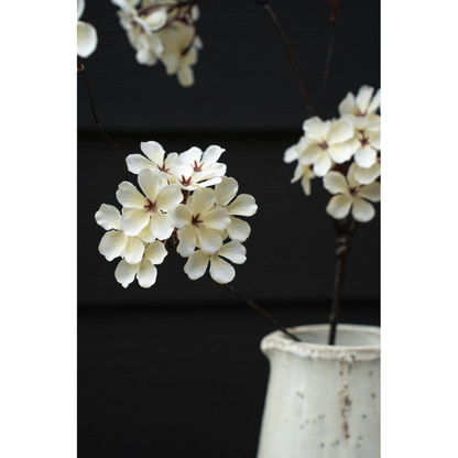 Pear Blossom Branch