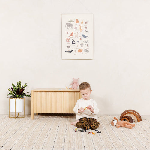 Animal Alphabet@Animal Alphabet Poster hanging in bedroom while little boy play with toys in front of it