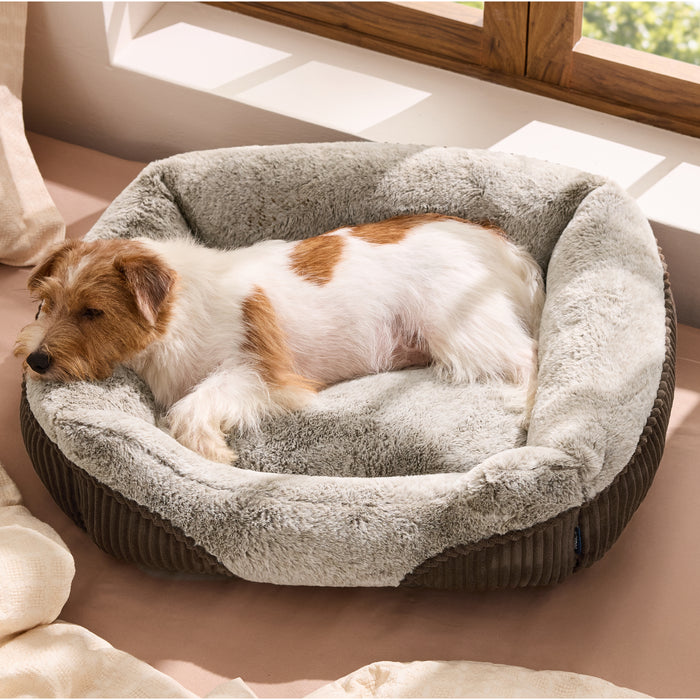 Rectangle Pet Bed