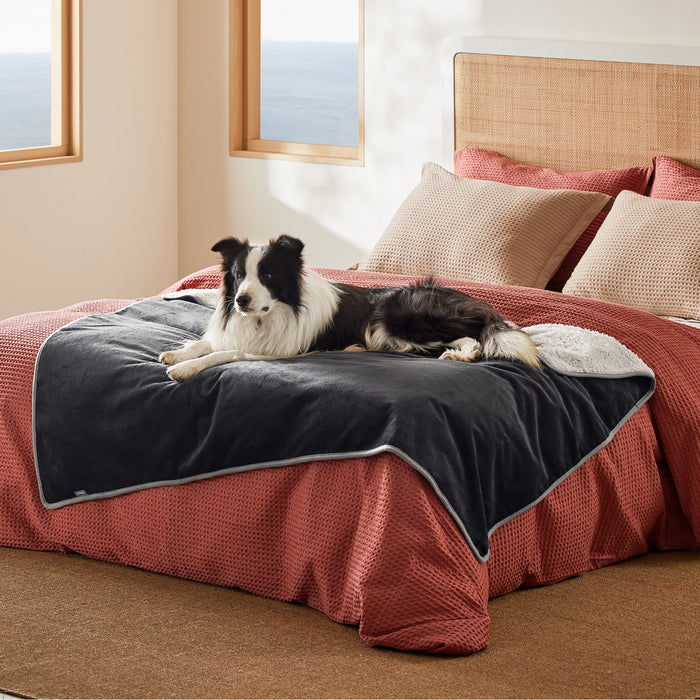 Black / XL