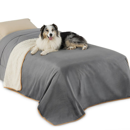 Grey / Queen
