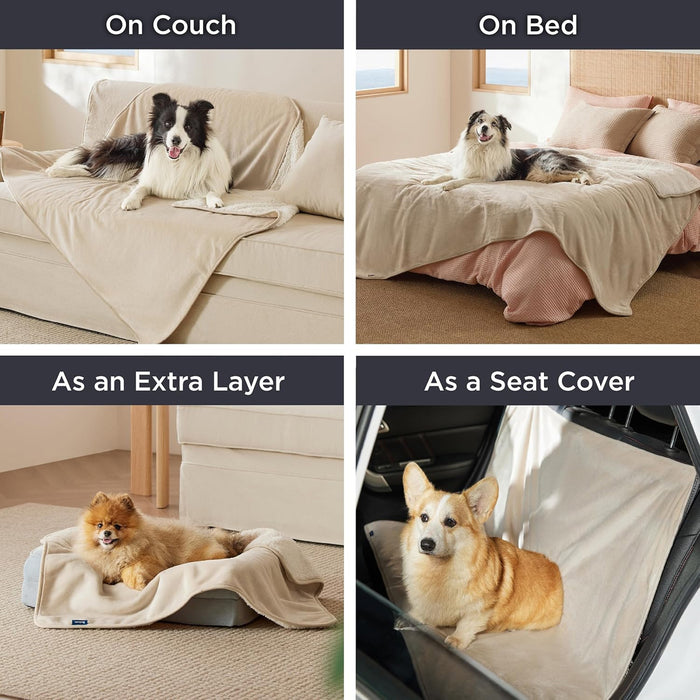 Four panels showing a reversible dog blanket in use: on a couch, bed, dog bed, and car seat.